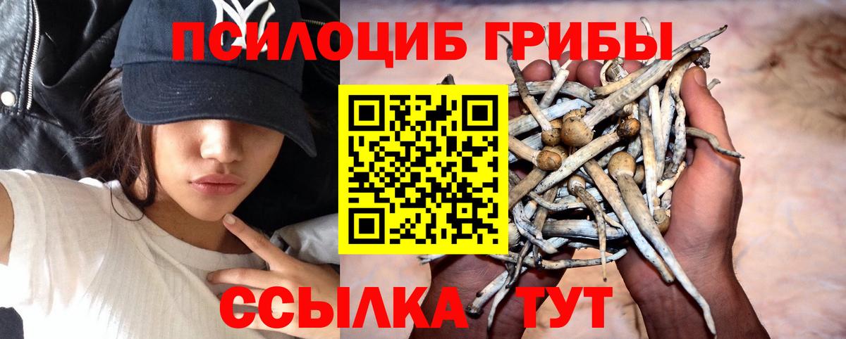 Галлюциногенные грибы мицелий  Вход с VPN  Краснознаменск 