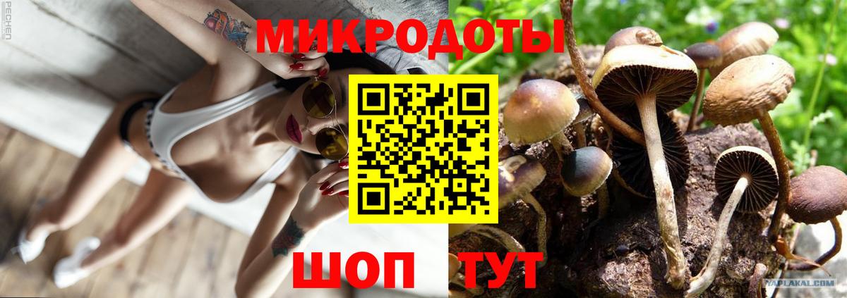 Псилоцибиновые грибы MAGIC MUSHROOMS Краснознаменск