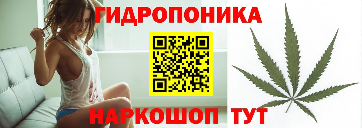 Каннабис гибрид  Бошки марихуана планчик  МАРИХУАНА индика  Вход с VPN  Краснознаменск  МАРИХУАНА THC 21% 